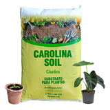 Vermiculita