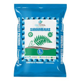 Substrato Composto Premium Samambaias 3kg Calterra