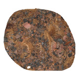 1l