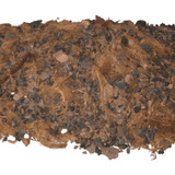 1l