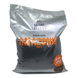 Nfe