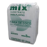 Cacto