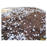 Substrato Para Suculentas E Cactos Linha Profissional 30 L