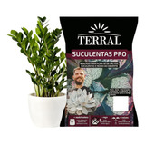 Substrato Plantas Zamioculcas Pro Kit 2 Saco 3 Litros Oferta