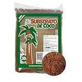 Substrato Pó De Coco 50 Litros Natural Tratado