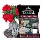 Substrato Rosa Deserto Pro Flores Cor Vibrantes Kit 2 Sacos