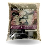 Substrato Terral Cactos E Suculentas Pro 25 L Guydo Horta