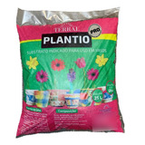Plantas
