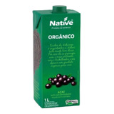Suco De Açaí Orgânico Native 1 Litro