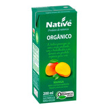 Suco De Manga Organico