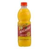 Suco De Maracujá Maguary