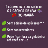 Suco De Uva E Maçã Natural One Ambiente Líquido Sem Glúten 180 Ml