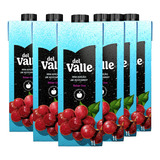 Suco Del Valle Néctar Uva Sem Açúcar 1l 6 Unidades