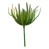 Suculenta Galho Artificial Vaso Decoração Planta Arranjo