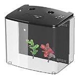 Bivolt