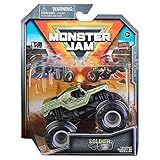 Sunny Monster Jam