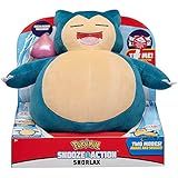 Sunny Pokemon