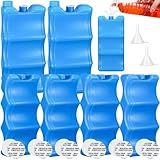 Sunnychicc 6 Unidades De Recipiente Disfarçado De Plástico Para Bloco De Gelo De 623 G Frasco Disfarçado De Garrafa Escondida Recipiente De Bebida Portátil Falso Para Concerto Esportivo De Cruzeiro