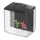 Sunsun Ats 220 Mini Beteira 5l Usb Bivolt Completo Aquário