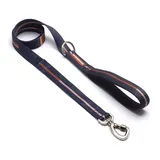 Super Guia Para Cachorros