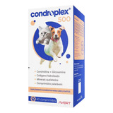 Suplemento Alimentar Condroplex 500mg 60 Comp Avert