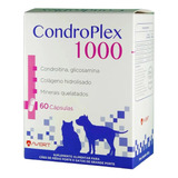 Suplemento Condroplex 1000 60 Capsulas