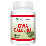 Suplemento Natural Erva Baleeira