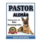 Suplementos Pastor Alemao Muscular