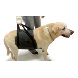 Suporte Apoio Para Cão Com Displasia dores tam G 70 93 Cm 