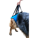 Suporte Apoio Para Quadril Cão Com Displasia E Dores Gg