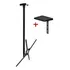 Suporte De Teto Para Tv De 10  Até 55  Cs0050 Casa Do Suporte Cor Negro