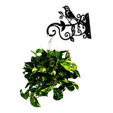 Suporte Flores Para Parede