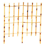 50x65