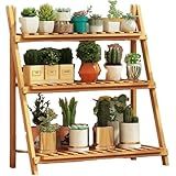 Plantas