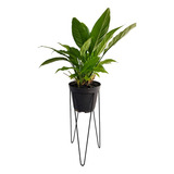 Suporte Tripé P Vaso De Chão Médio 16x45 Cm Plantas Ferro