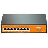 1000Mbps
