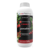 Syrup Granadine Flavor House 1 4kg