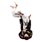 Systematically The Att G Half Guard Passing By Gordon Ryan