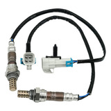 T Sonda Lambda Para