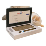 Tabuleiro Arranhador Gato Portatil