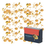 Tachinha Percevejo Latonado Dourado Com 200 Pecas 11x10mm