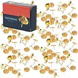 Tachinha Percevejo Latonado Dourado Com 300 Pecas 11x10mm