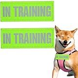 TACVEL 2 Peças De Patch Refletivo Para Cães De 11 X 4 Cm Em Adesivos De Treinamento Etiquetas Removíveis Para Cães Com Suporte De Gancho Para Coletes De Cães De Serviço Arreios Em Treinamento Verde