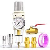 TAILONZ PNEUMATIC 1 4 Npt Filtro De Ar Regulador De Pressão Combo Piggyback 5 Micron Elemento De Latão Ferramenta De Ar Compressor Filtro Com Medidor Aw2000 02 Com Alça Vermelha Válvula De Esfera