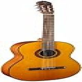 Takamine Guitarra Acústica Clássica NAT GC1 Natural Média