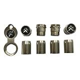 Tampa Bico Pito Pneu Válvulas Cromado Xsara Picasso C3