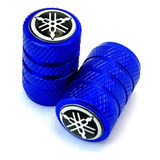 Tampa Bico Pneu Metal