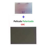 Tampa Gbc Roxa Transp Película Polarizada