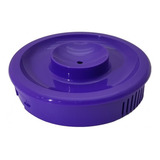 Violeta