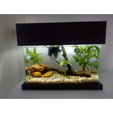 Tampa Para Aquario 35